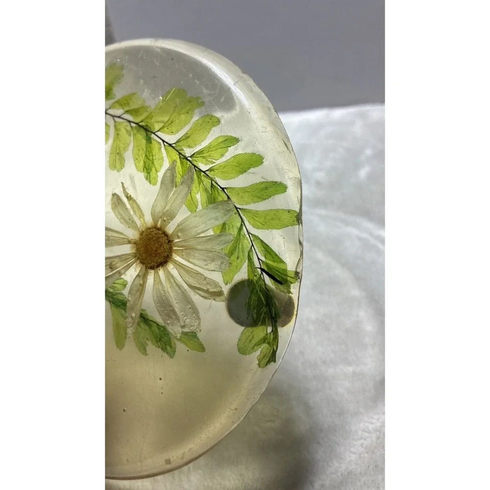 Lucite‎ Dry Daisy Ferns Butterfly Trivet Mid Century 1960s Vintage